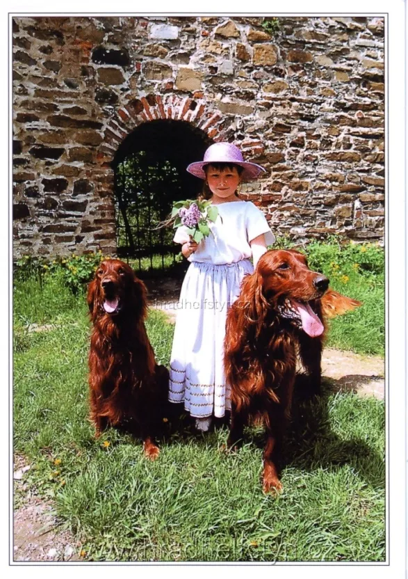 Helfštýn, VF, vstupenka č.138, Markétka a hradní strážci, Pressfoto